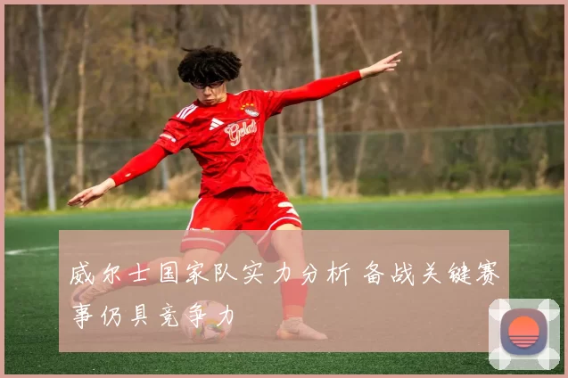 威尔士国家队实力分析 备战关键赛事仍具竞争力