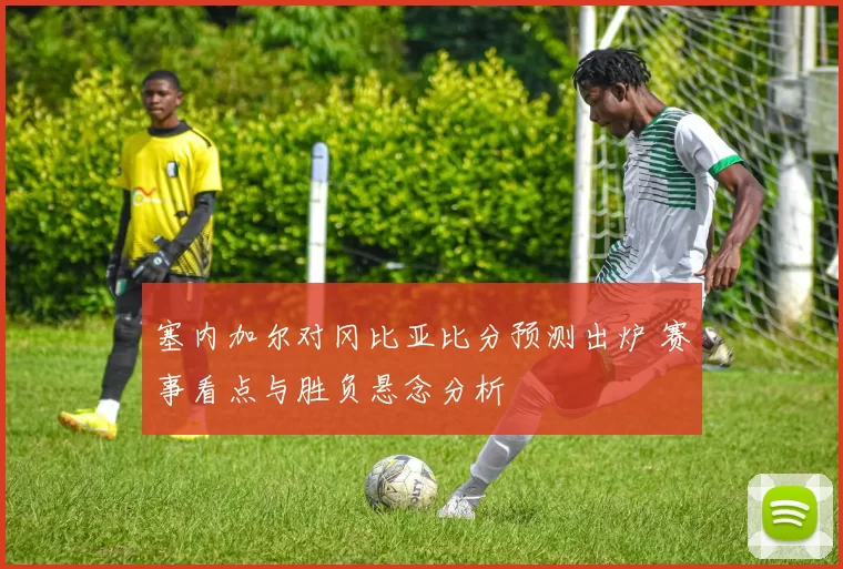 塞内加尔对冈比亚比分预测出炉 赛事看点与胜负悬念分析