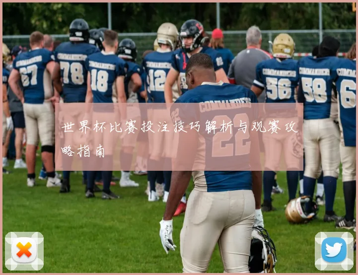 世界杯比赛投注技巧解析与观赛攻略指南