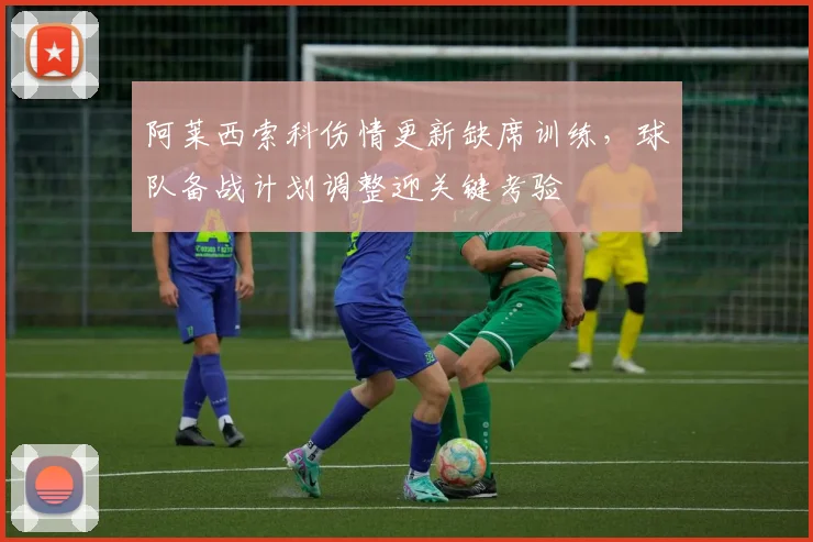 阿莱西索科伤情更新缺席训练,球队备战计划调整迎关键考验