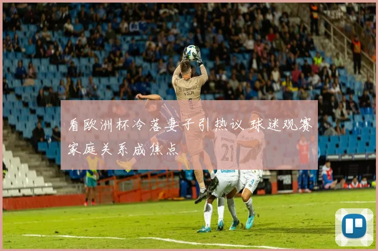 看欧洲杯冷落妻子引热议 球迷观赛家庭关系成焦点