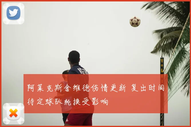 阿莱克斯舍维德伤情更新 复出时间待定球队轮换受影响