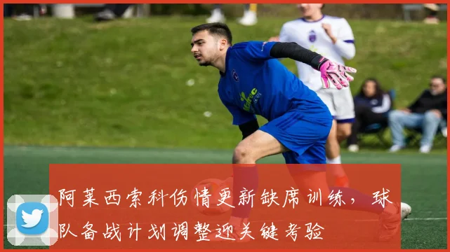 阿莱西索科伤情更新缺席训练,球队备战计划调整迎关键考验