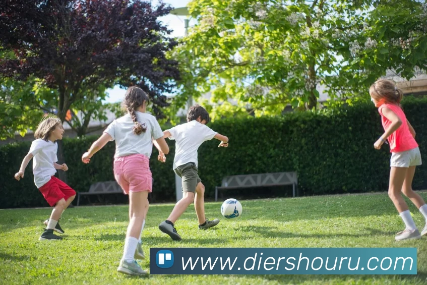 多媒体互动体验